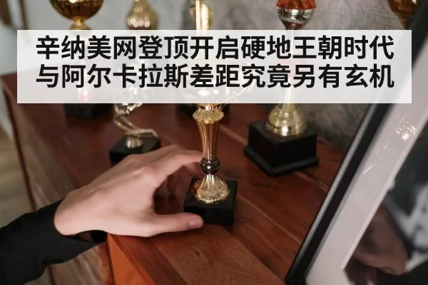 辛纳美网登顶开启硬地王朝时代 与阿尔卡拉斯差距究竟另有玄机